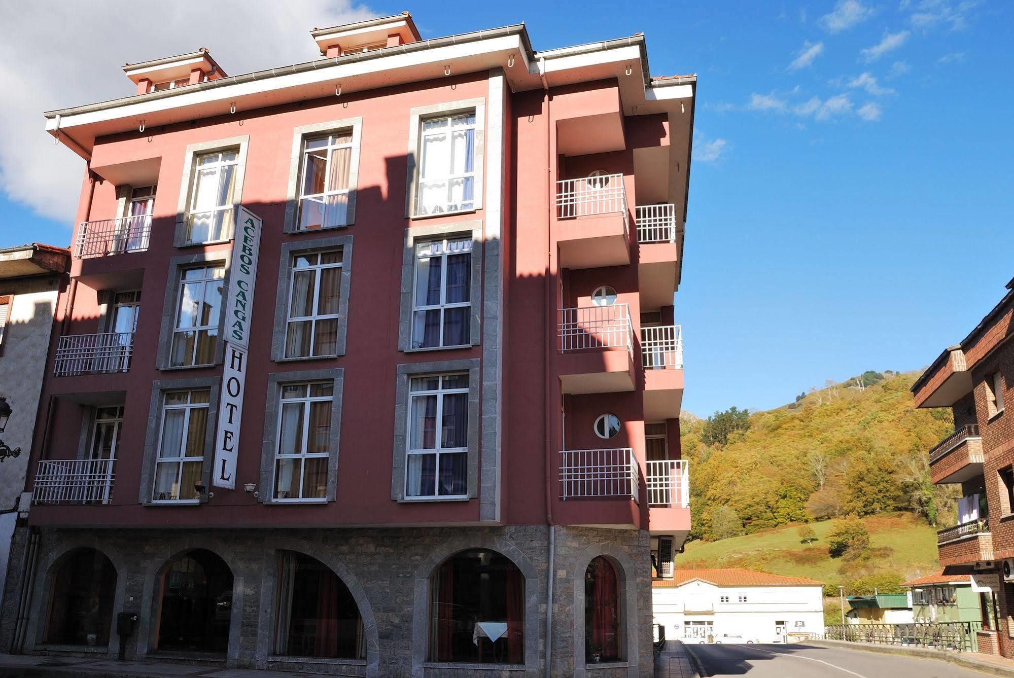 Los Acebos Cangas Onís Exteriér fotografie